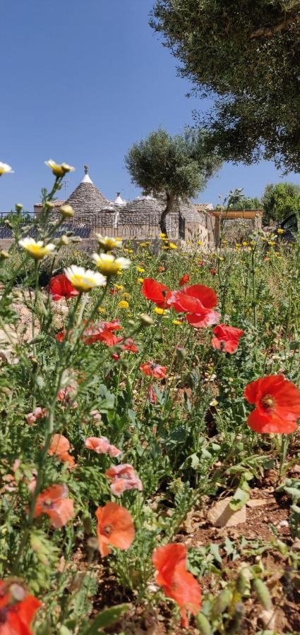 Villa Trullo La Perla Di Pietra Alberobello Exterior foto